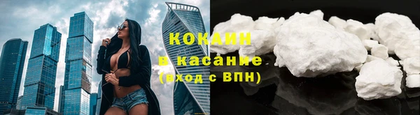 твердый Алексеевка