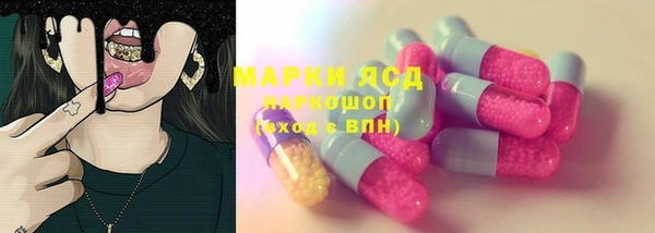 спайс Алзамай