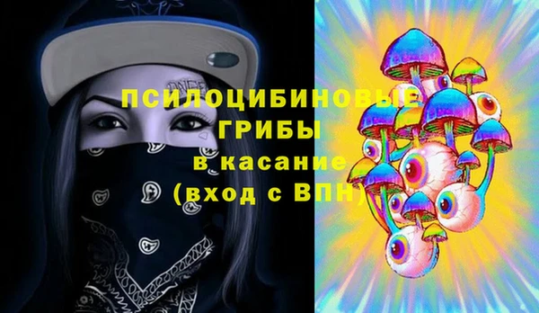 твердый Алексеевка