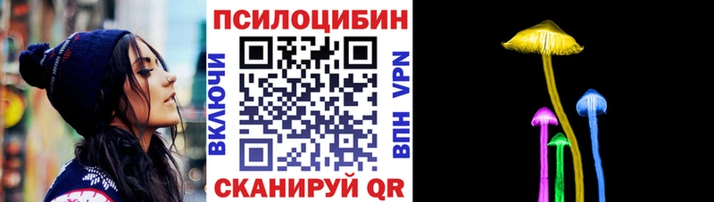 купить закладку  Чадан  Галлюциногенные грибы прущие грибы 